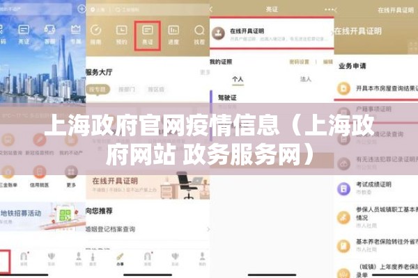 上海政府官网疫情信息（上海政府网站 政务服务网）