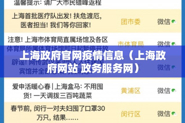 上海政府官网疫情信息（上海政府网站 政务服务网）