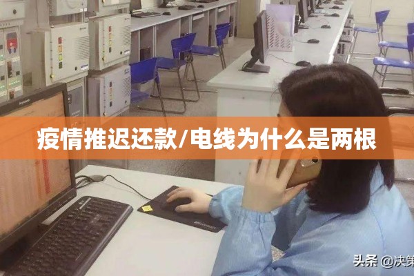 疫情推迟还款/电线为什么是两根