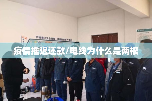 疫情推迟还款/电线为什么是两根