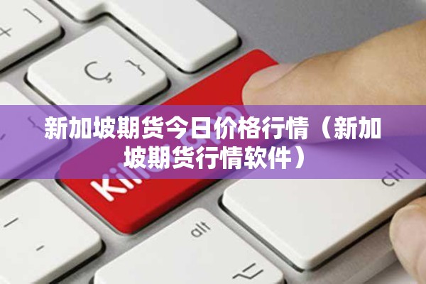 新加坡期货今日价格行情（新加坡期货行情软件）