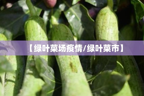 【绿叶菜场疫情/绿叶菜市】