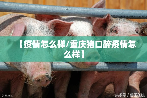 【疫情怎么样/重庆猪口蹄疫情怎么样】