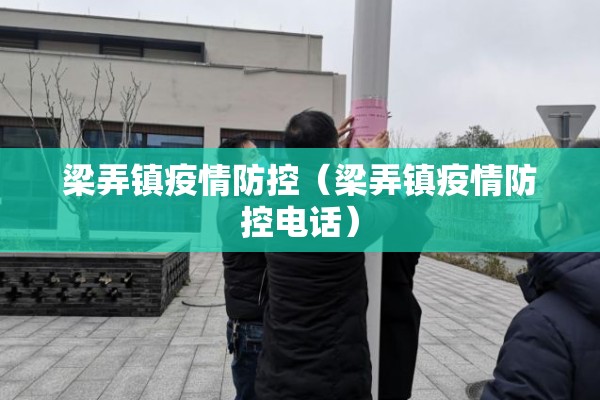 梁弄镇疫情防控（梁弄镇疫情防控电话）