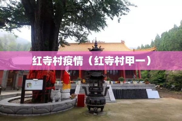 红寺村疫情（红寺村甲一）