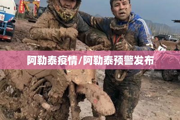 阿勒泰疫情/阿勒泰预警发布