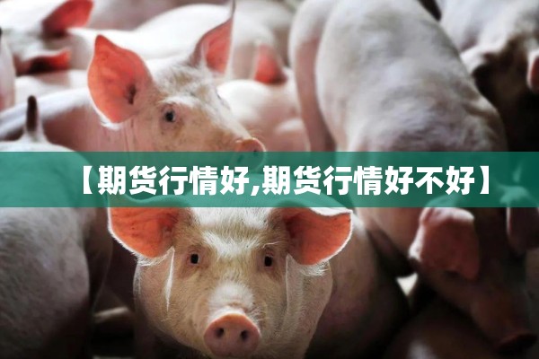 【期货行情好,期货行情好不好】 【期货行情好,期货行情好不好】