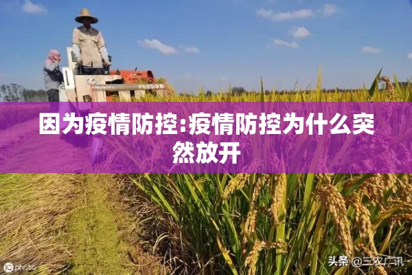 因为疫情防控:疫情防控为什么突然放开 因为疫情防控:疫情防控为什么突然放开