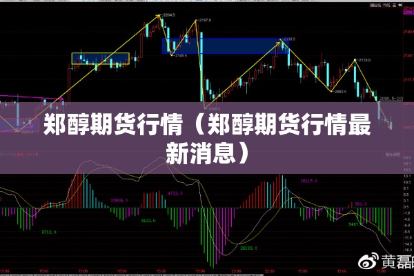 郑醇期货行情（郑醇期货行情最新消息）