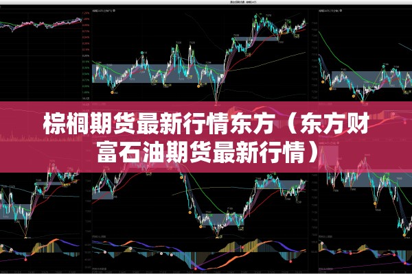 棕榈期货最新行情东方（东方财富石油期货最新行情）
