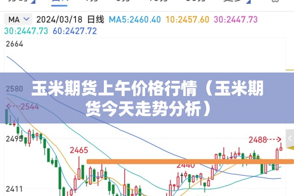 玉米期货上午价格行情（玉米期货今天走势分析）