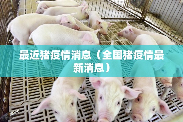 最近猪疫情消息（全国猪疫情最新消息）