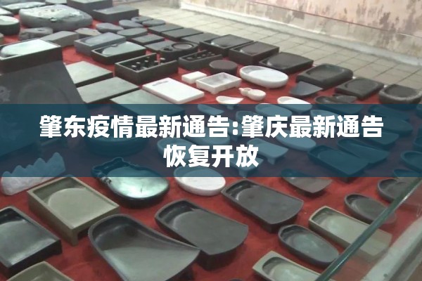 肇东疫情最新通告:肇庆最新通告恢复开放