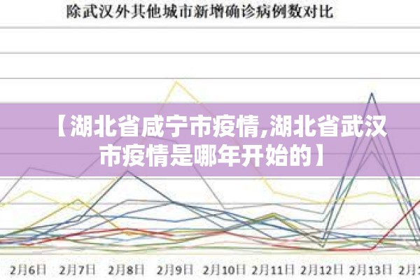 【湖北省咸宁市疫情,湖北省武汉市疫情是哪年开始的】 【湖北省咸宁市疫情,湖北省武汉市疫情是哪年开始的】