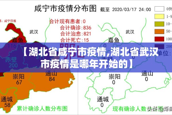 【湖北省咸宁市疫情,湖北省武汉市疫情是哪年开始的】