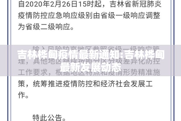 吉林桦甸疫情最新通知:吉林桦甸最新发展动态