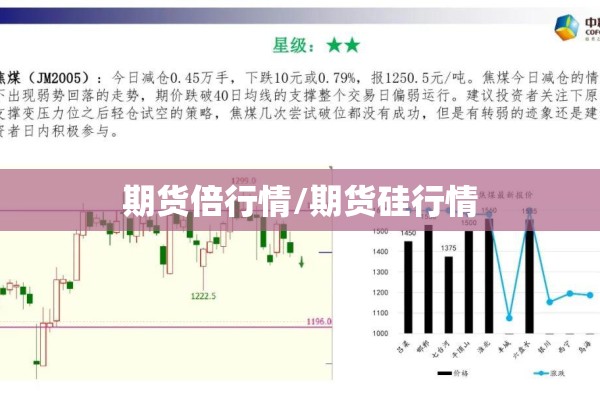期货倍行情/期货硅行情
