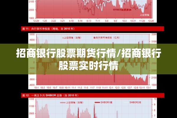 招商银行股票期货行情/招商银行股票实时行情