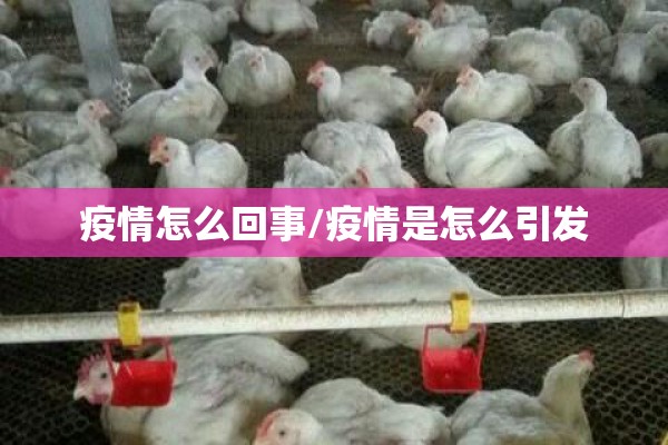 疫情怎么回事/疫情是怎么引发