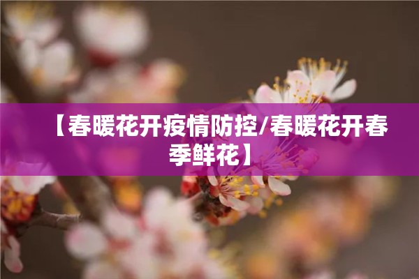 【春暖花开疫情防控/春暖花开春季鲜花】
