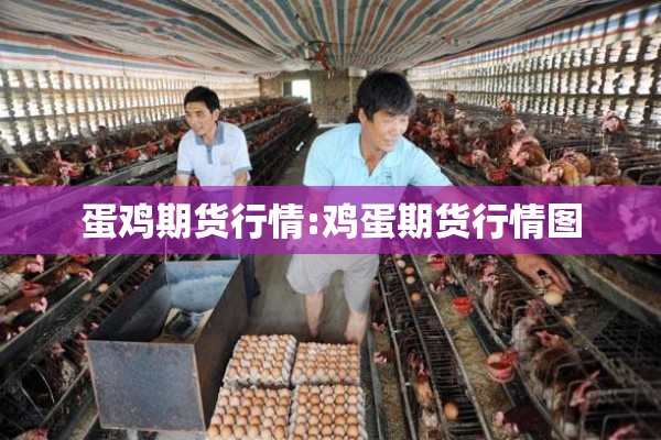 蛋鸡期货行情:鸡蛋期货行情图