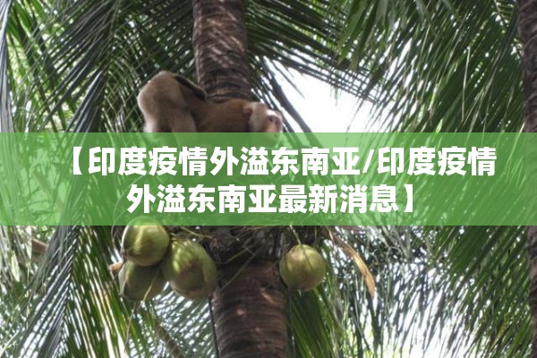 【印度疫情外溢东南亚/印度疫情外溢东南亚最新消息】