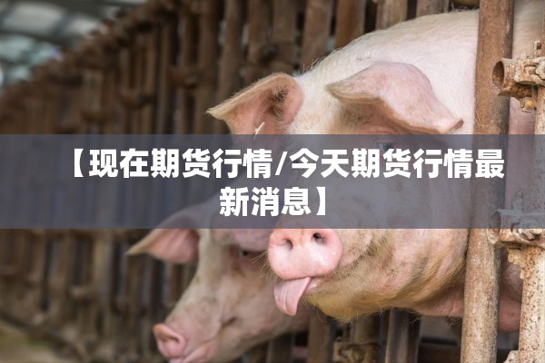 【现在期货行情/今天期货行情最新消息】