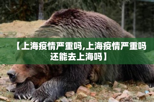 【上海疫情严重吗,上海疫情严重吗 还能去上海吗】