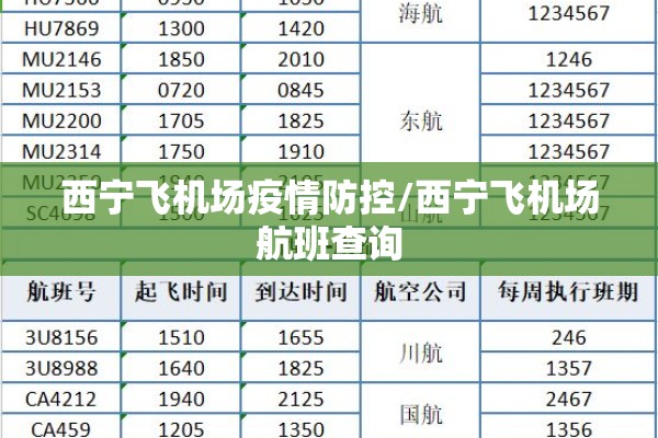 西宁飞机场疫情防控/西宁飞机场航班查询 西宁飞机场疫情防控/西宁飞机场航班查询