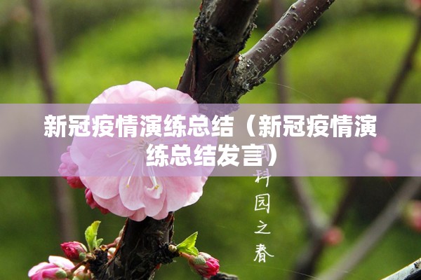 新冠疫情演练总结（新冠疫情演练总结发言）