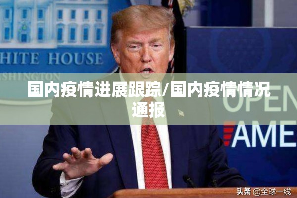 国内疫情进展跟踪/国内疫情情况通报