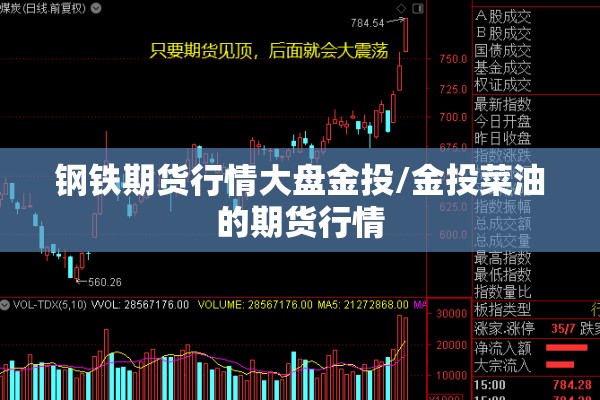 钢铁期货行情大盘金投/金投菜油的期货行情