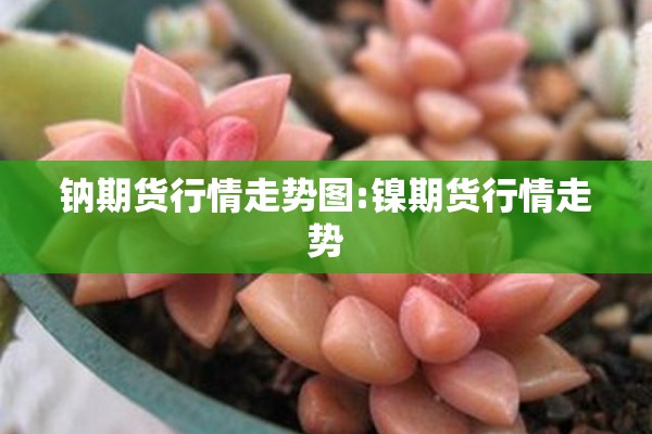 钠期货行情走势图:镍期货行情走势