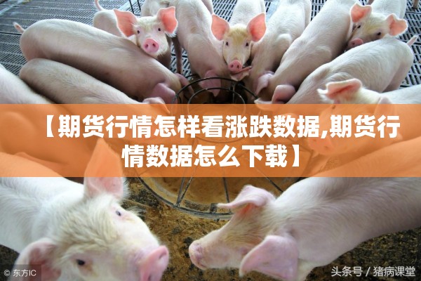 【期货行情怎样看涨跌数据,期货行情数据怎么下载】 【期货行情怎样看涨跌数据,期货行情数据怎么下载】