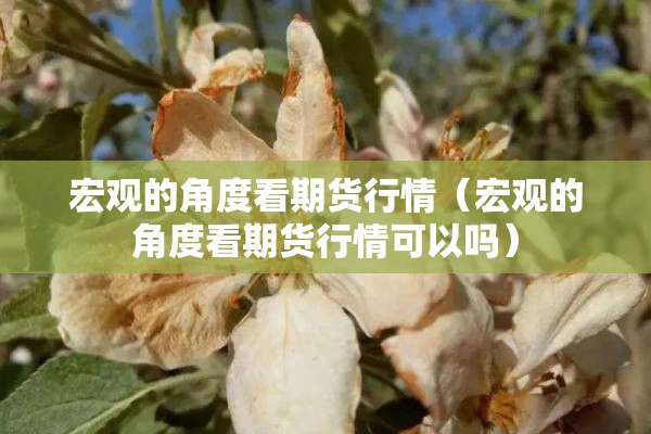 宏观的角度看期货行情（宏观的角度看期货行情可以吗）