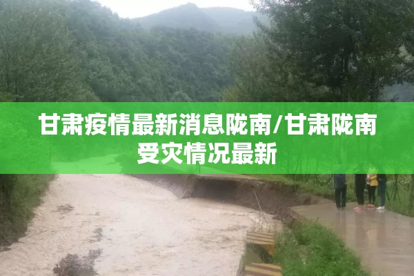 甘肃疫情最新消息陇南/甘肃陇南受灾情况最新