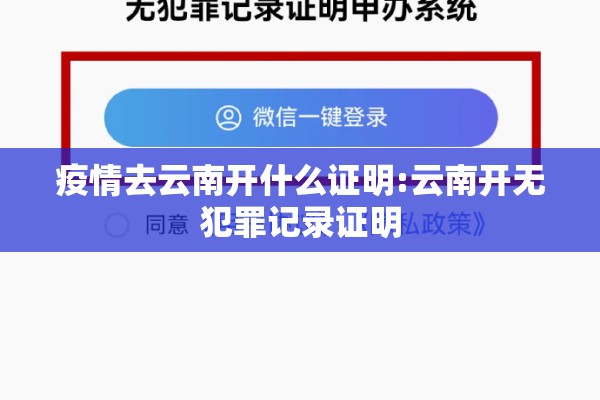 疫情去云南开什么证明:云南开无犯罪记录证明