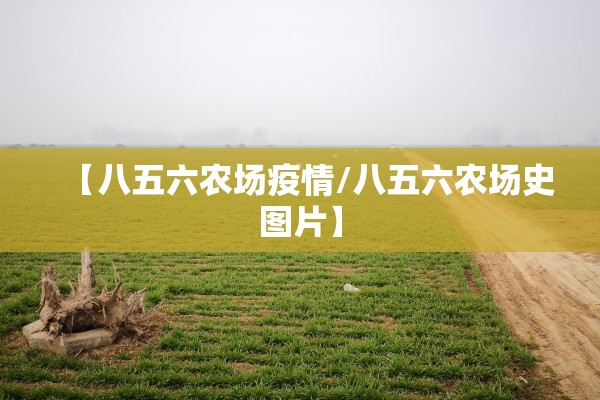 【八五六农场疫情/八五六农场史图片】