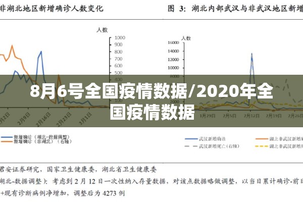 8月6号全国疫情数据/2020年全国疫情数据
