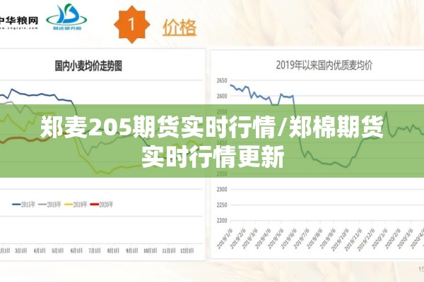 郑麦205期货实时行情/郑棉期货实时行情更新 郑麦205期货实时行情/郑棉期货实时行情更新