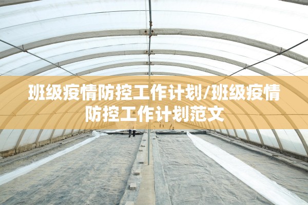 班级疫情防控工作计划/班级疫情防控工作计划范文