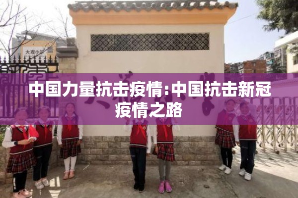 中国力量抗击疫情:中国抗击新冠疫情之路