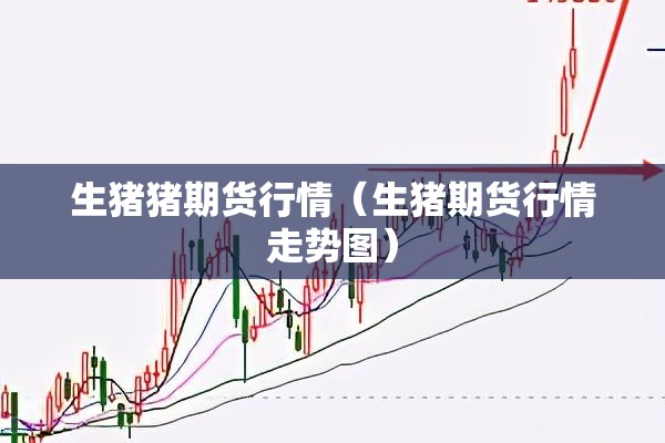 生猪猪期货行情（生猪期货行情走势图）