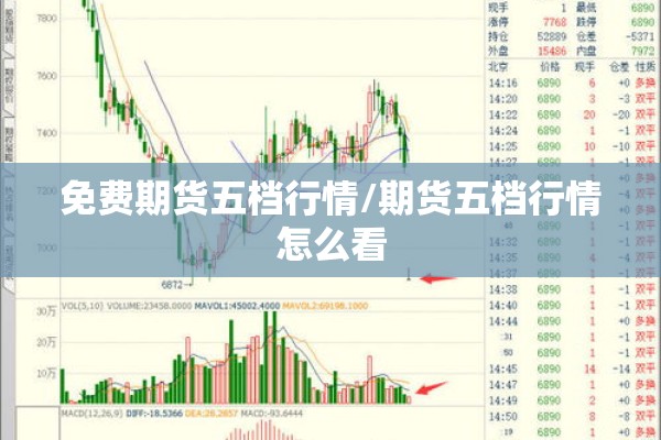 免费期货五档行情/期货五档行情怎么看 免费期货五档行情/期货五档行情怎么看