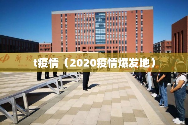 t疫情（2020疫情爆发地）