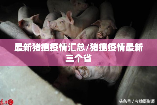最新猪瘟疫情汇总/猪瘟疫情最新三个省