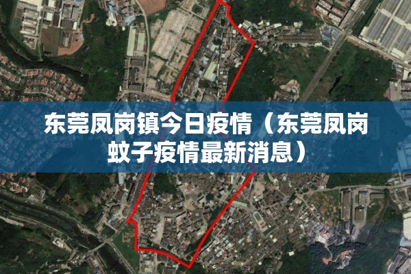 东莞凤岗镇今日疫情（东莞凤岗蚊子疫情最新消息）