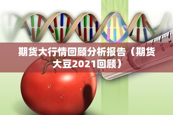 期货大行情回顾分析报告（期货大豆2021回顾）