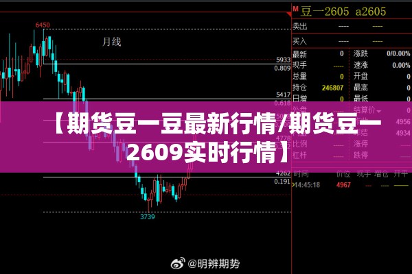 【期货豆一豆最新行情/期货豆一2609实时行情】