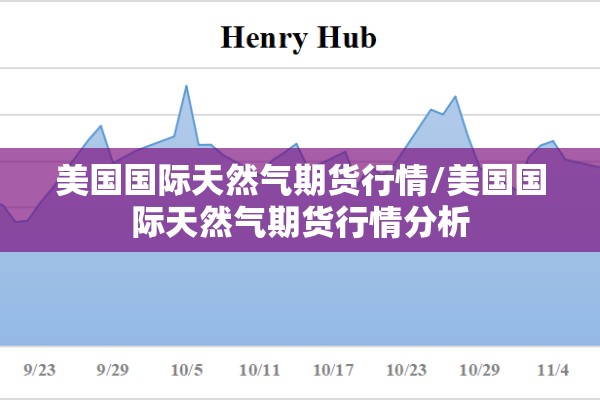 美国国际天然气期货行情/美国国际天然气期货行情分析